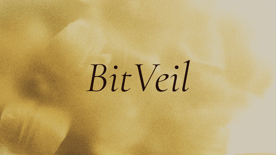 BitVeil Circuits
